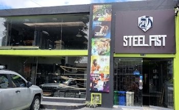 Steel Fist