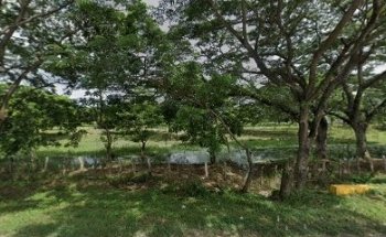 Coliseo Mayor de Cartagena