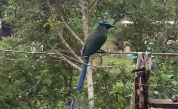 Centro de Integración Ciudadana