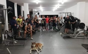 Gimnasio Max