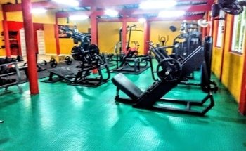 Albert Gold Gym