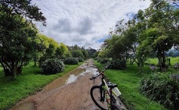La Punta