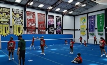 Dynamic gym
