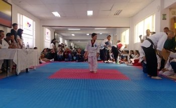 Club de taekwondo Olympic