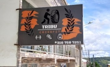 Gimnasio TRIBU
