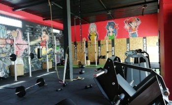 Warriors gym