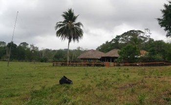 Finca La Esperanza