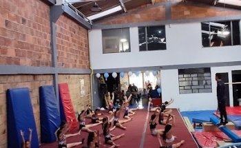 Academia de gimnasia neverland