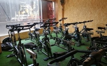 Cardios Gym Sede Norte
