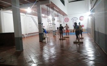 Mr Pitbull Cross Box Gym