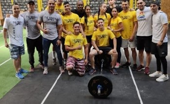 The jungle box (crossfit)