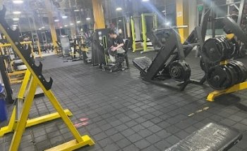 Gym Golden Fish