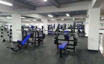 BulldoGym Corosito