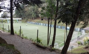 AristiGol Campestre