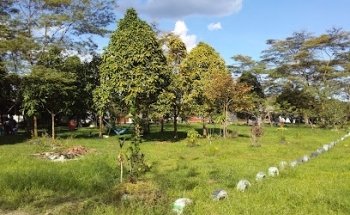 Zona verde brisas del playon