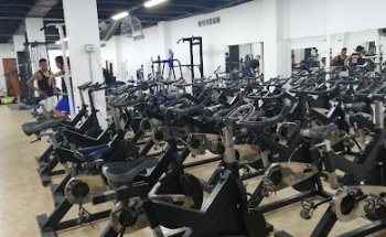 Evolution Gym