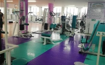 Gimnasio Femenino En Forma