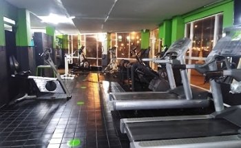 Dynamic Factor Gym
