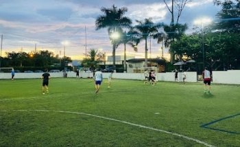 The synthetic fields Title