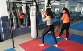 TAURUS MMA