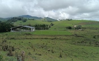 Polideportivo