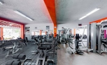 Gym Euro Fitness