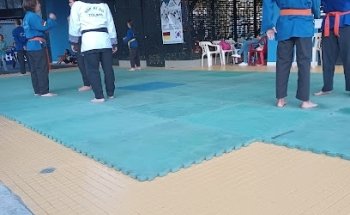 Liga Tolimense de Hapkido