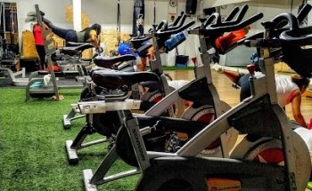 Maximus GYM