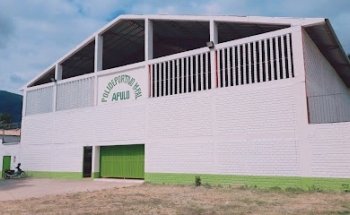 Polideportivo Municipal De Apulo