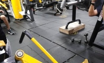 Scultural Force Gym-Estilo De Vida