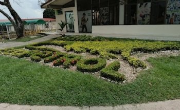 cpf cusiana gimnasio
