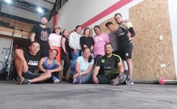 Mamba Box Training