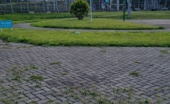 Canchas Cedi Vegas
