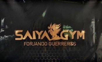 Saiyagym_co