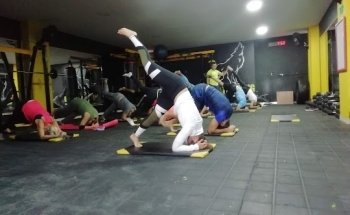 Wolf Training