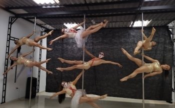 Equilibrium Pole Fitness