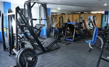 Modelo Gym