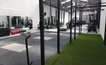 Body Performance