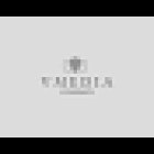 VMedia