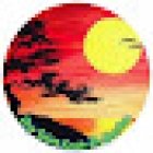 Dojo Taikan Bucaramanga