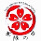 Dojo Nintai Internacional Colombia & USA