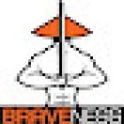 BRAVENESS