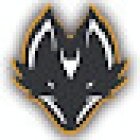 CrossFox Gym