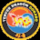 Academia Tercer Dragón Dorado