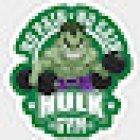 Hulk Sport Gym