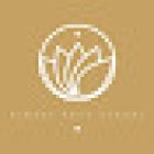 Kimara Yoga School - Sede Alameda