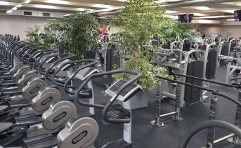 Health & Fitness Center Ronny Mallwitz