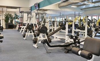 DAVID Fitness & Health
