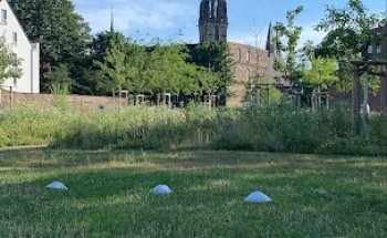 Original Bootcamp - Innenhafen Duisburg