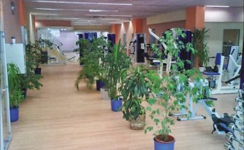 Medical-Sports- Centre/Fit-Fabrik